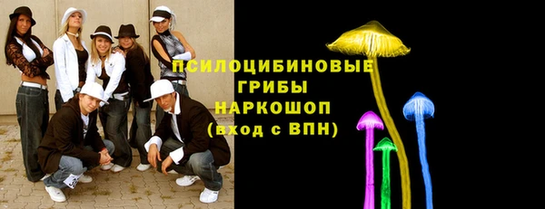 дмт Верея