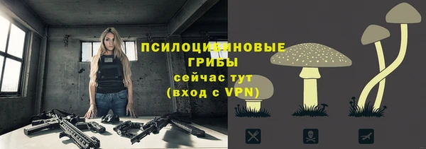 ALPHA PVP Верхний Тагил